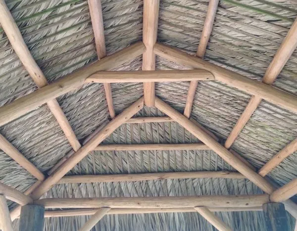 Close-up view of a tiki hut's wooden frame and palm-thatch roofing.